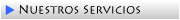 Nuestros Servicios